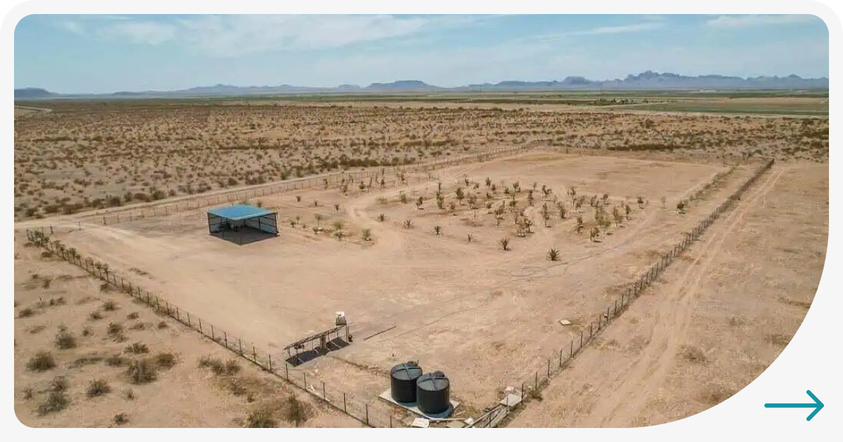 Property Evaluation_ Assessing Land Development in Tonopah